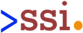 2SI Group Inc Logo